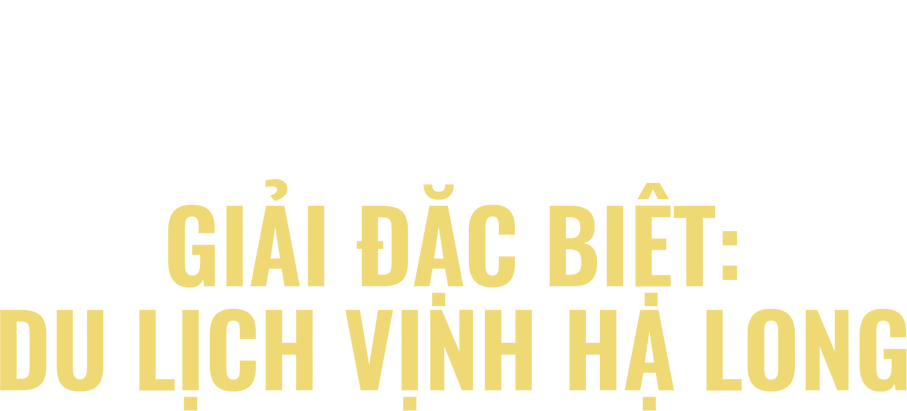 Title Banner